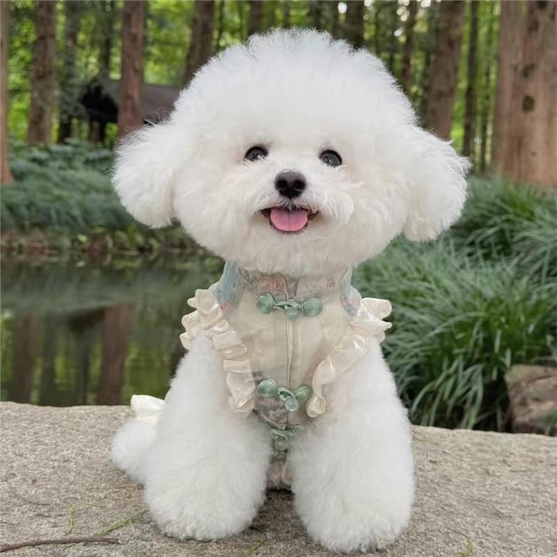 개와 고양이 봄과 여름 새로운 중국 스타일 치파오 민소매 버튼 새틴 중국 스타일 스커트 작은 말 시시 개 옷 얇은