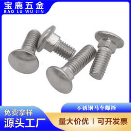 厂家直供304不锈钢大头马车螺栓  M5M6-M12半圆方颈螺丝