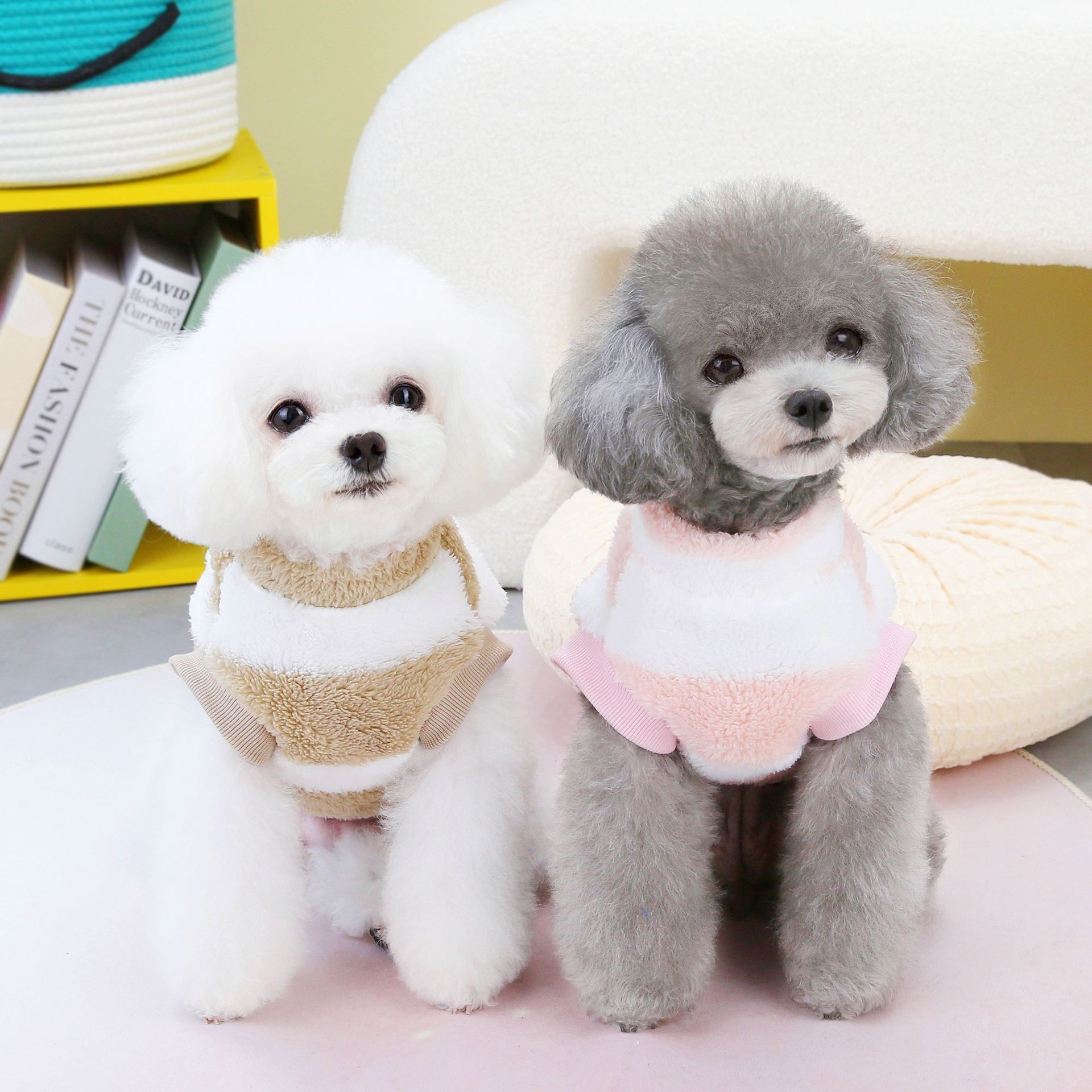 애완동물 의류 강아지 옷 가을겨울 신상 테디 고양이 애완동물 옷 지퍼 23
