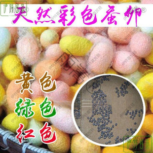 �Q�Ѳ�ɫ2024���Q���Q�Ӽ��Q�����b�Q��������Q�N����WУ