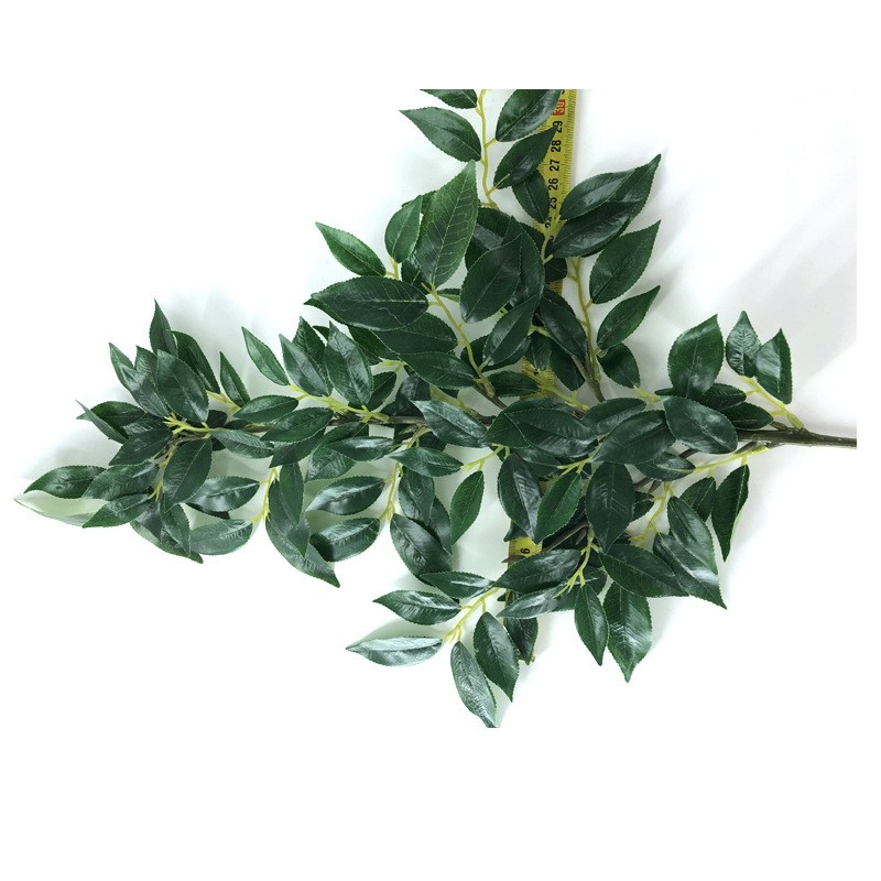 XRB-184 赤楠叶四叉枝110叶0.56米6.jpg