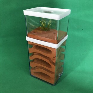 ���p�� ���� �� �Ǳ� ���� �� ρρ�Ǳ���Ѩ