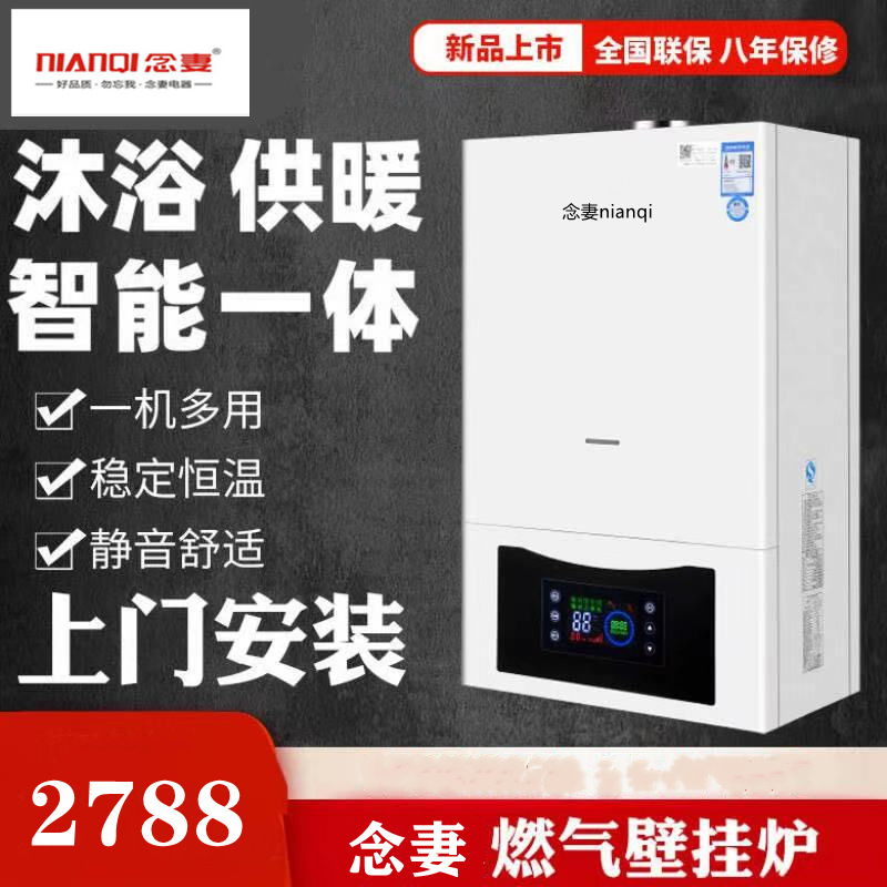 Manufactor Straight hair brand household Gas Boiler Natural Gas Heating stove heating Water heater Dual use boiler