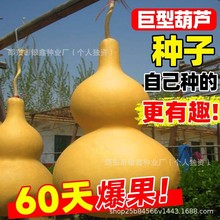 ���ͺ��J�N���ش���J�N�������������J�N��ԭ�b�ļ��߲˷N�Ӵ�ȫ