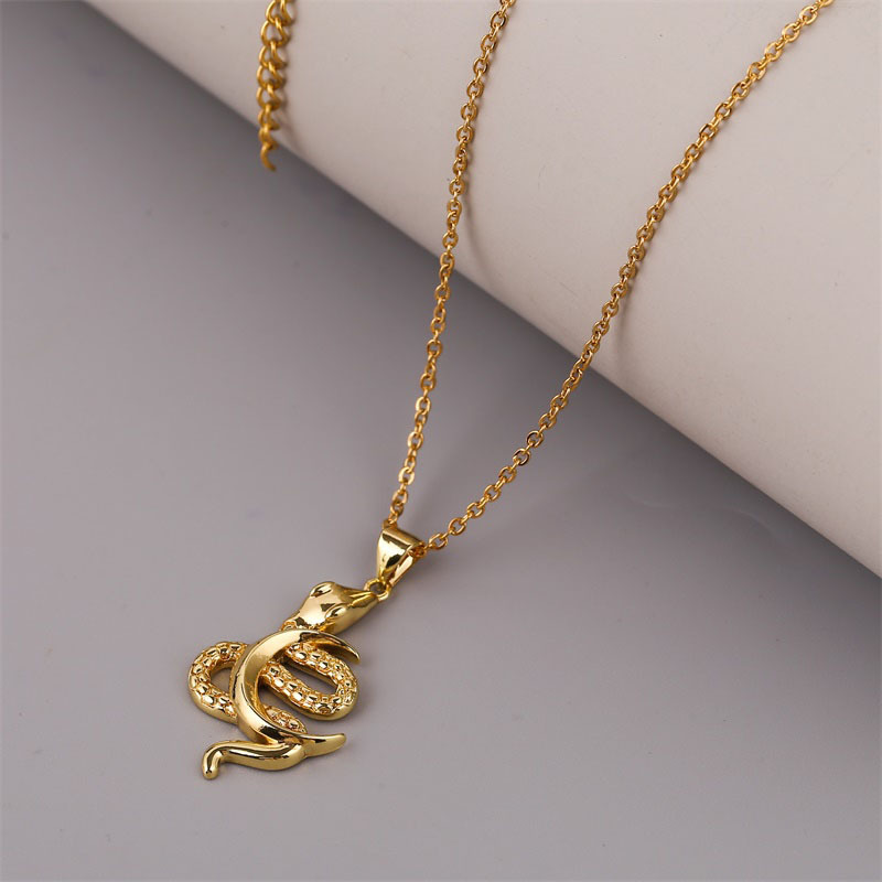 Collar De Cobre Con Luna Y Serpiente Del Zodiaco display picture 6