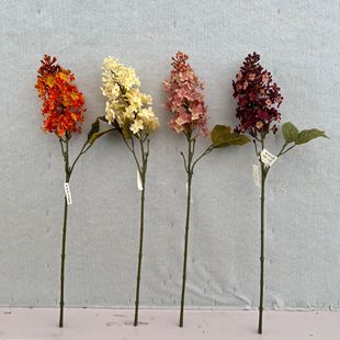��Ʒ�|���滨�����ֹ��϶��㷨ʽ��Y�廨�ٻ��Ҿ��b��R�d�羳