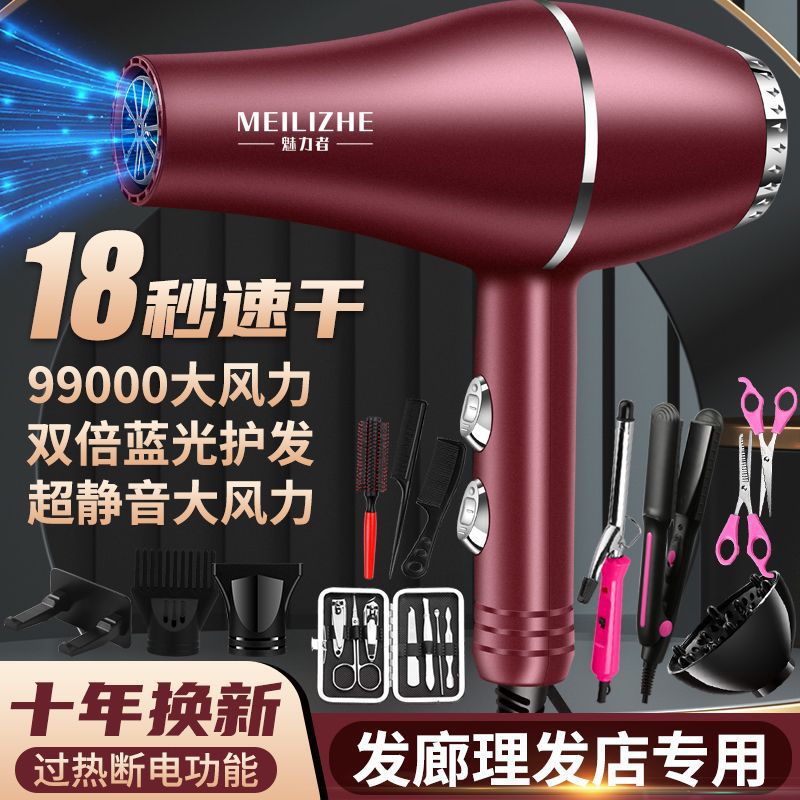 Hair Salon Hair Dryer High-Power Hair Dryer Household High-Wind Blue Light Student Dormitory Cold Barber Shop Cross-Border Wholesale