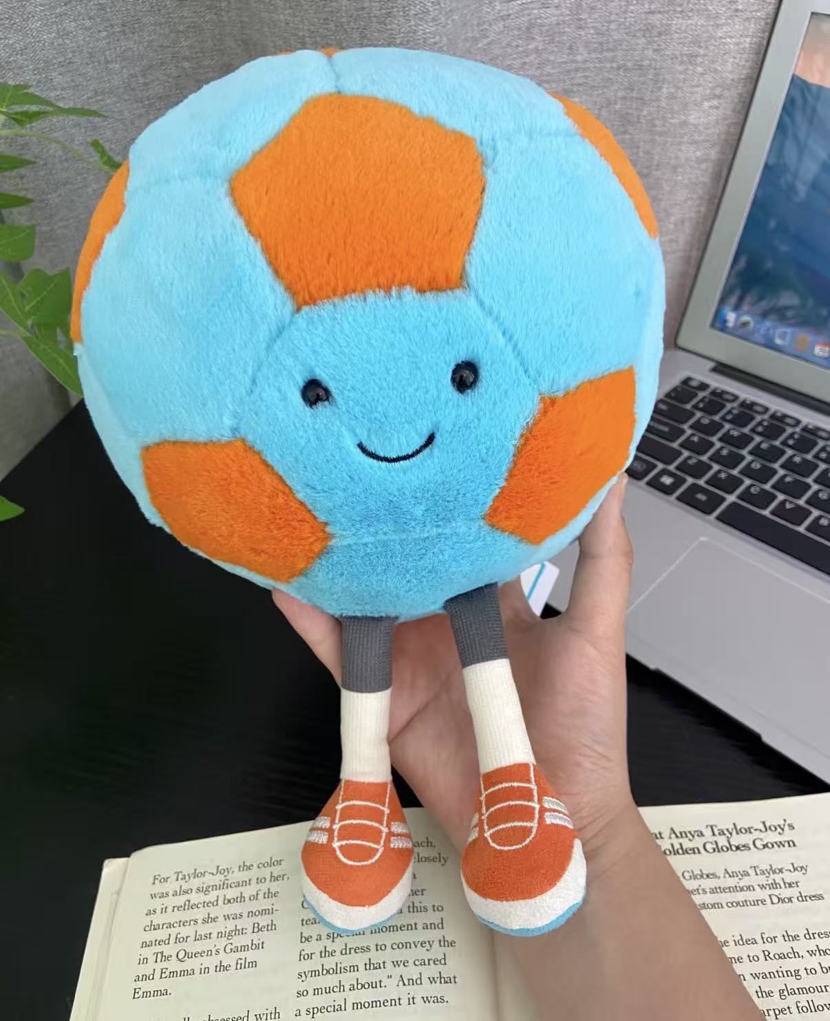 지리 고양이 농구 27cm / 상위 버전에는 세 가지 표준 + 더스트백이 포함됩니다.