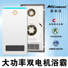 卫生间风暖浴霸照明一体机集成暖风换风扇吊顶电暖取暖浴霸灯