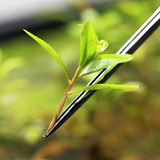 Пинцет из нержавеющей стали, 27/38/48см