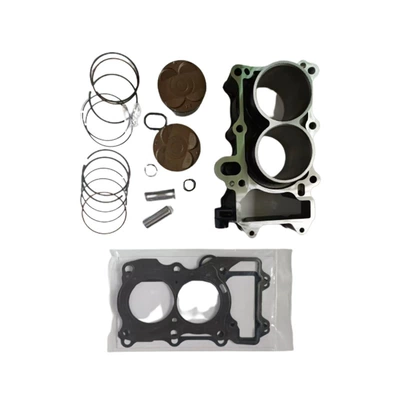 ring cylinder gasket, Cylinder and parts