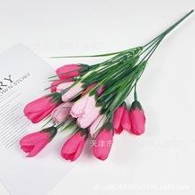 ���m������С�ѻ���c�ҾӼٻ�ˇ�Ҿӿ͏d�bƵ�����[�����Q