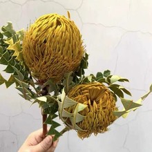 干花由鲜花烘干加工而成，按照买家要求下单后单独制作