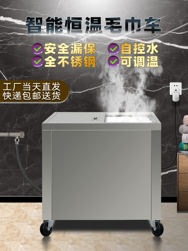 Electric Steamer Towel and Foot Bath Steamer Cabinet, Heated Towel and Medicine Pack Cabinet, Hot Compress Cabinet, Automatic Stainless Steel Steam Disinfection Cabinet for Kindergarten
