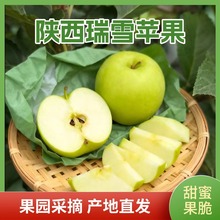 �����ѩ�O���a��ֱ�l���r�����Fժ���r�S�G�O��һ�����l�Y���O��