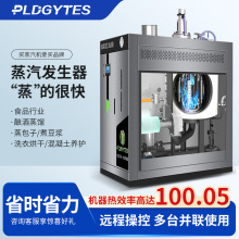 天然气蒸汽发生器燃气锅炉全自动稳定耐用工业节能变频蒸汽发生器
