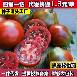 ����¶���ѷN�Ӵ��ﲥ�N�̨�����߲˹Ϲ��N�ӑ����׷Nֲ