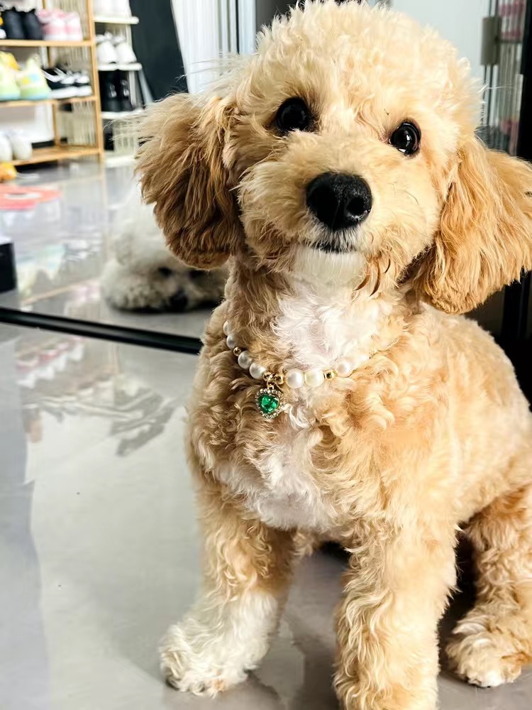 다이아몬드 엣지 하트 [그린]