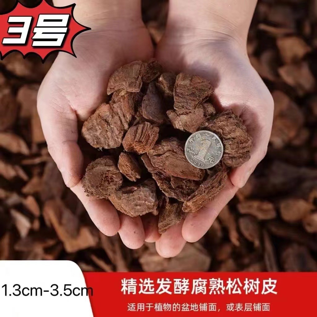 발효송인 대형 3호 15-35mm