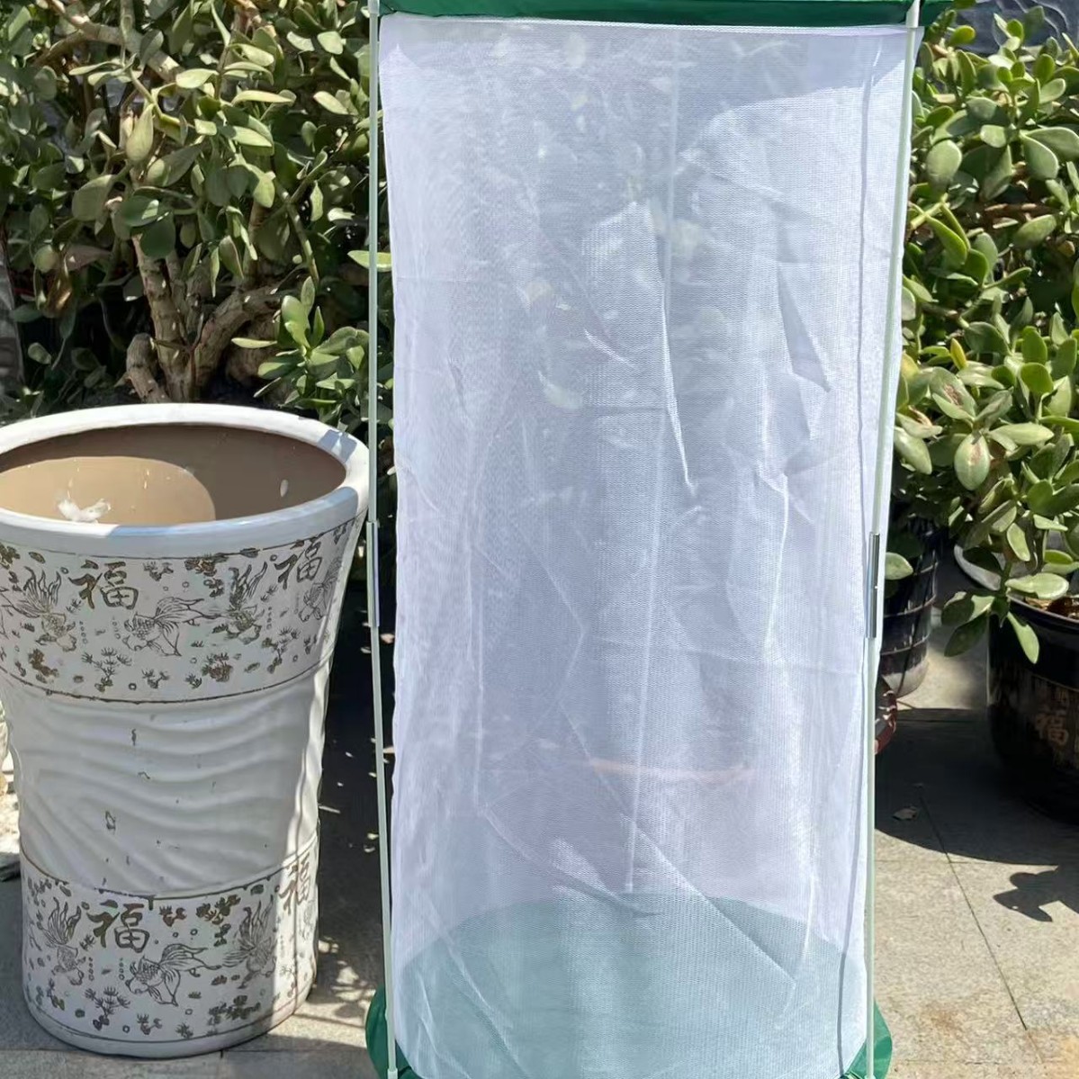 Soporte cilíndrico de producción propia barril jaula de alimentación de mariposa jaula de observación de insectos jaula de malla transparente jaula de visualización