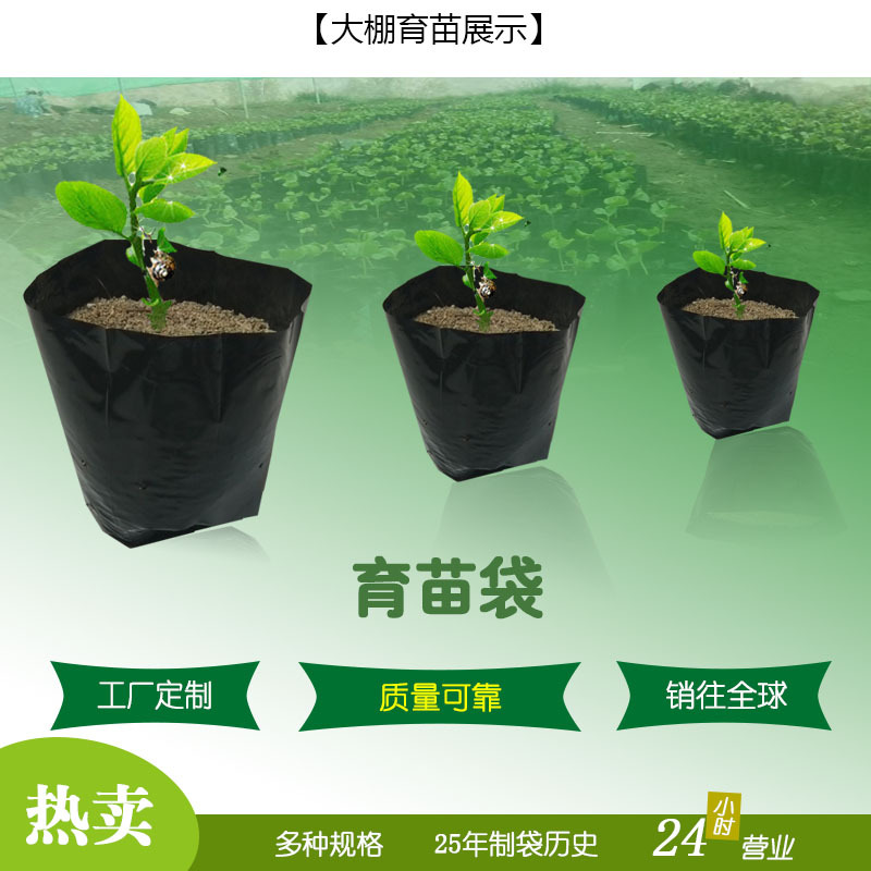 2022.5.16育苗袋—大棚育苗展示图（热卖款