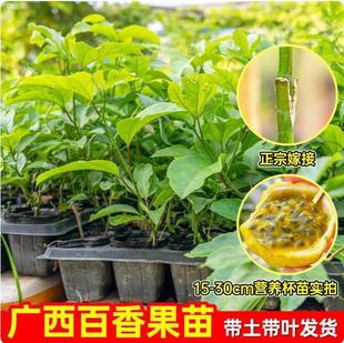 ��������������S�������缃���S�����������ļ�ͥԺ�����̨