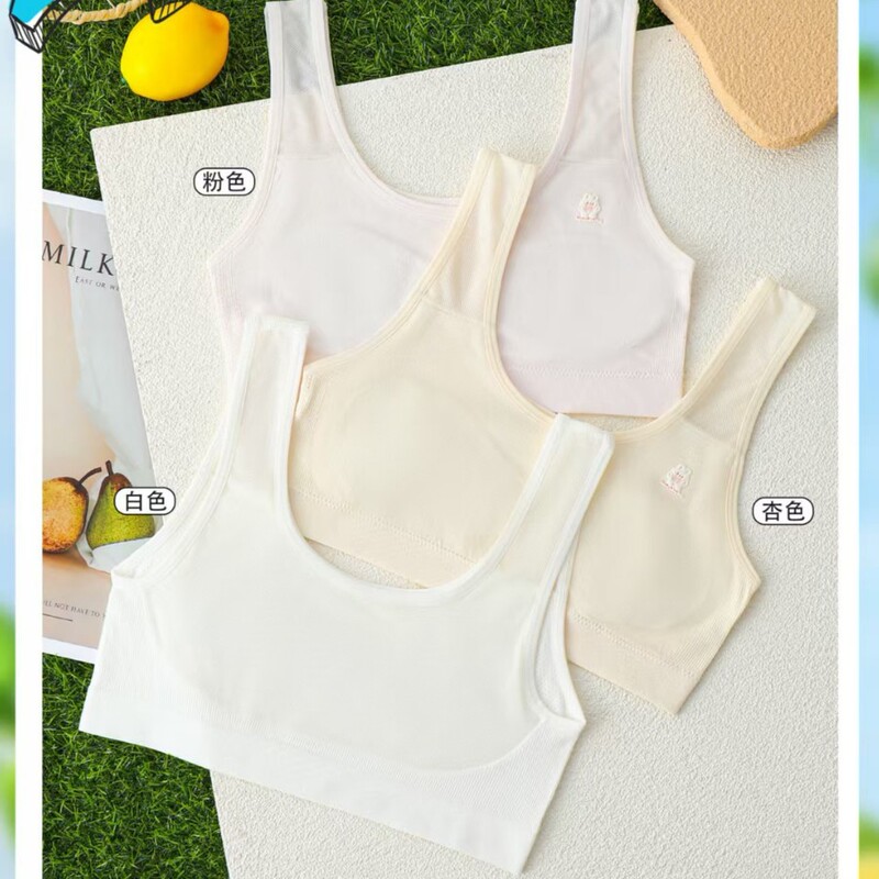 Small Size Developmental Student Underwear, Seamless Breathable Mesh Back, No Underwire, Comfortable and Skin-Friendly Vest-Style Bra for Young Girls Small Size Developmental Student Underwear, Seamless Breathable Mesh Back, No Underwire, Comfortable and Skin-Friendly Vest-Style Bra for Young Girls