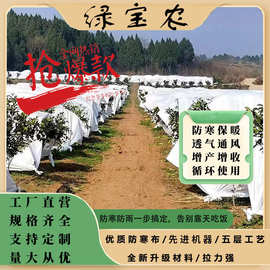 农用防霜布沃橘防寒布育苗水稻布白色防冻无纺布植物防寒罩防霜布
