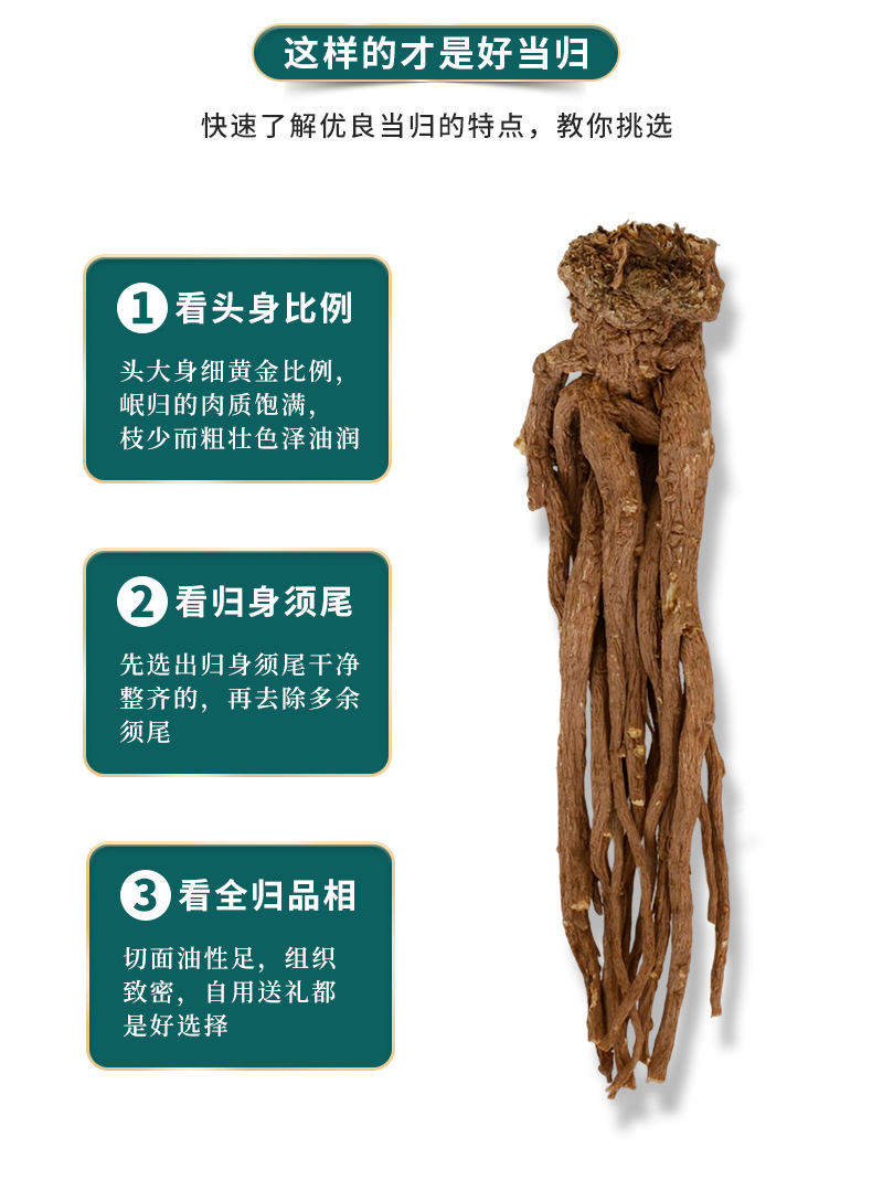 Danggui Root Slices from Min County, Gansu, Chinese Medicinal Herb, Whole Root for Soup, Sliced Danggui, of Chinese Medicinal Herbs detail image