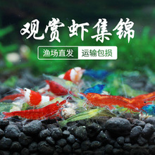 �r�����rˮ���ѻ������r��ˮ���������S���׹��߳����r��������