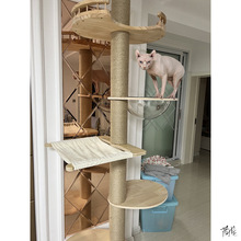 猫爬架立柱通天玩具柱猫爬架猫架子顶天立地多只配件大型立杆