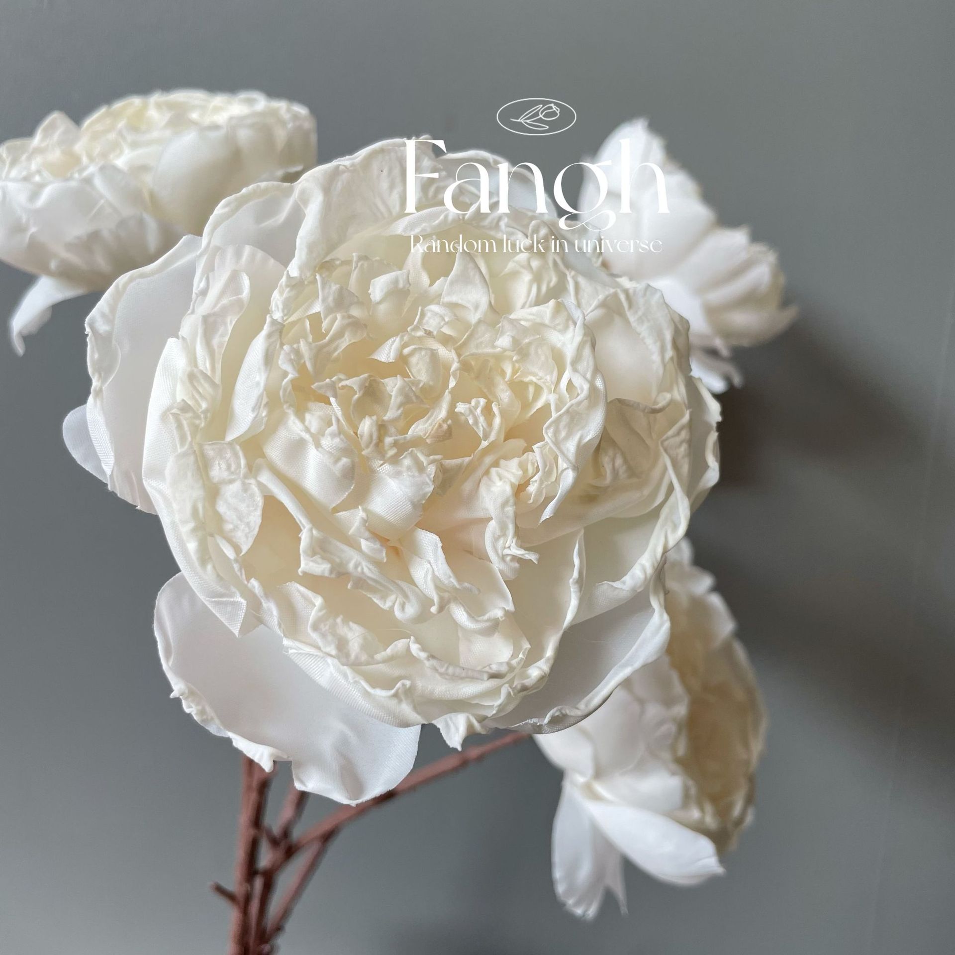 微信图片_20220620160748