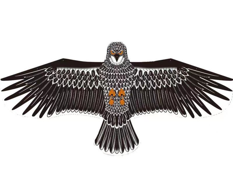 イ坊凧の新型の格子布のタカの包頭のタカの凧は鳥を驚かして多色のメーカーの卸売りをします。|undefined