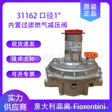 Fiorentini�ƊW�����31162������^�Vȼ��p���yҺ���ⷀ���y1"