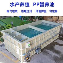 大型多功能鱼池过滤一体化暂养池鱼箱海鲜池ras循环过滤水产养殖