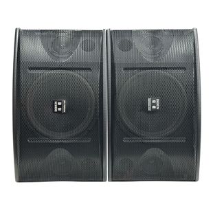 Diton Home Ktv High Power Card Speaker 8inch Multimedia Fitness Conference Dance Studio Background Audio Wholesale
