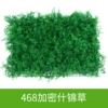 468 salad grass