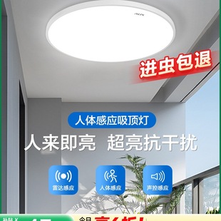 Induction Light Stair Ceiling Light Aisle Corridor Corridor Human Body 2025 New Radar Entrance Door Automatic Voice Control Light