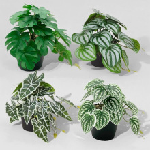 �����~�����~������С�����G�}�~����Gֲ����Сֲ���b����Ԕ[��