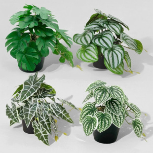 �����~�����~������С�����G�}�~����Gֲ����Сֲ���b����Ԕ[��