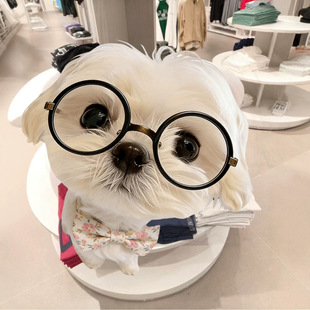 ����ĸ����T��