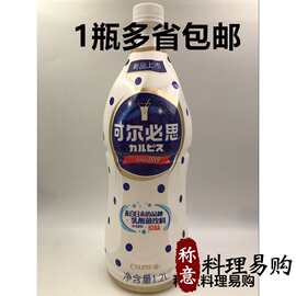 日本可尔必思浓缩液乳酸菌饮料益菌多1.2L 发酵型牛奶浓缩 原味