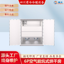 6p��ʽ�՚��ܺ�əC�r�aƷ�Zʳ����C���Lѭ�h�����ɷ����ܸɹ�