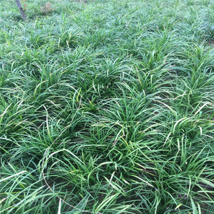 ���lС�~������ ���~�������L�~�����ر��ݾG�����ļ�����