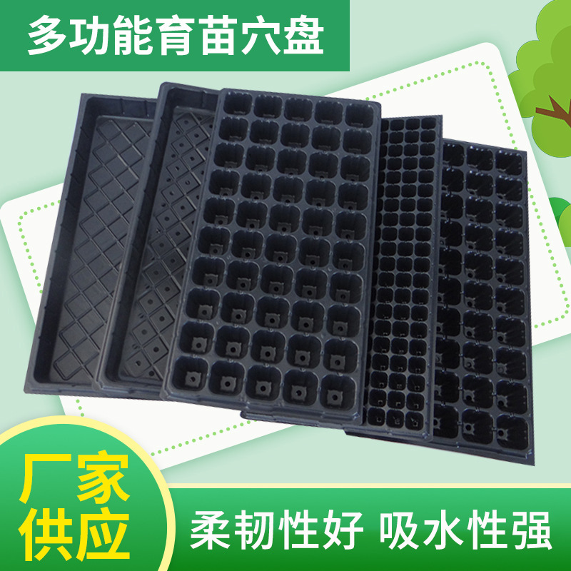 厂家供应多规格穴盘苗木多肉花卉蔬菜育苗盘用育秧盘育苗穴盘