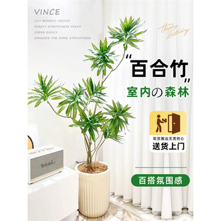���Ͱٺ���͏d���;Gֲ������Խ�߅�ٺ���Շ����p���҃���Ѫ��