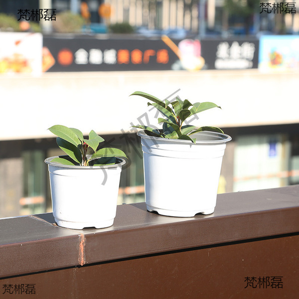 Two-color white disposable plastic flowerpot