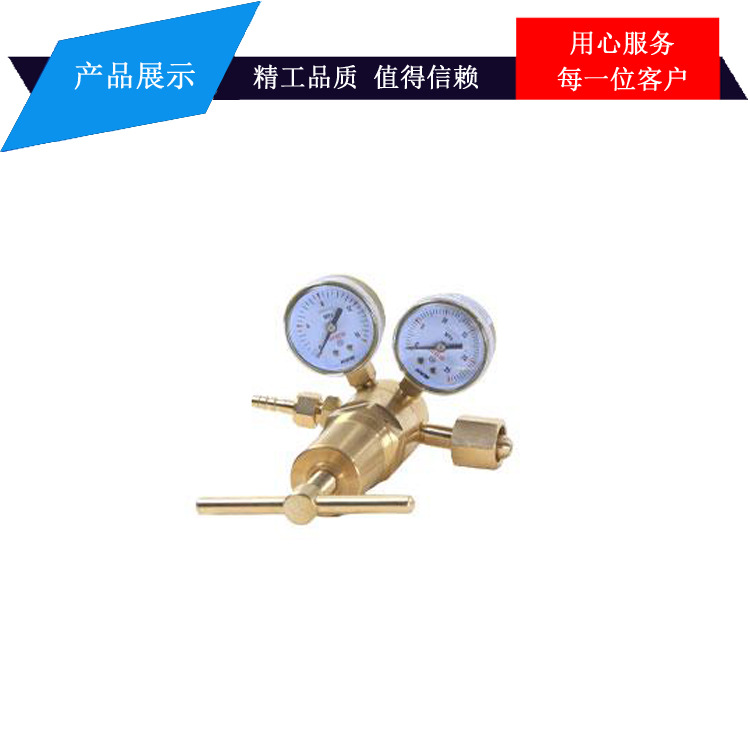 单侧双流量计式氩气减压器 YQAr-731L气瓶可调式调节器神东工矿
