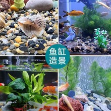 5斤天然鹅卵石原生溪流石鱼缸铺底砂装饰过滤造景小石子豆石养鱼
