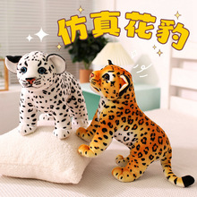 �羳���滨������żë�q��߄���@�b�Ʒ�ɐ�ѩ�������ޱ������l